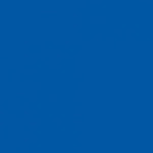 Hispanos Azul